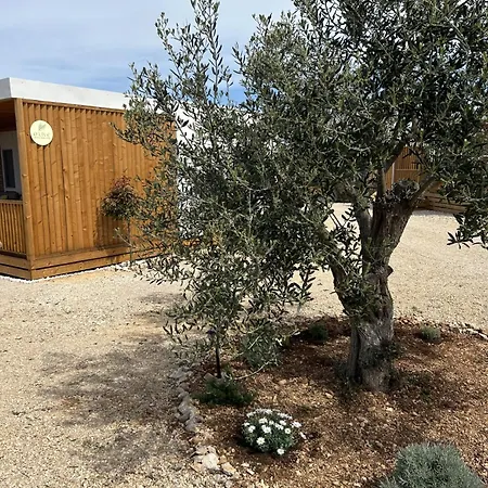 O'live Premium Mobile Drage