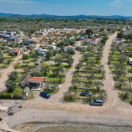 O'live Premium Mobile 드라게