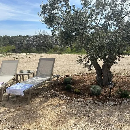 Campsite O'live Premium Mobile