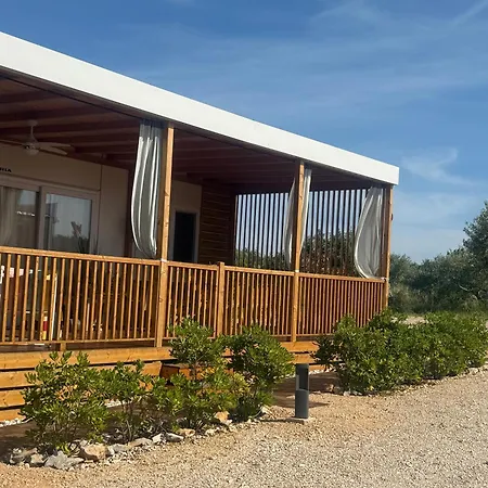 O'live Premium Mobile