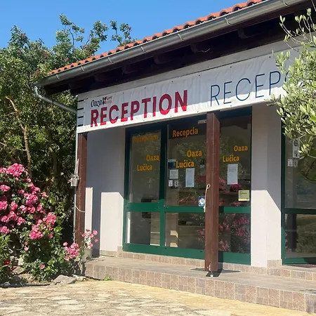 O'live Premium Mobile *