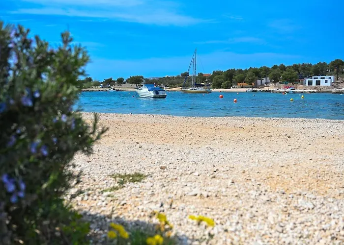 Camping O'live Premium Mobile *