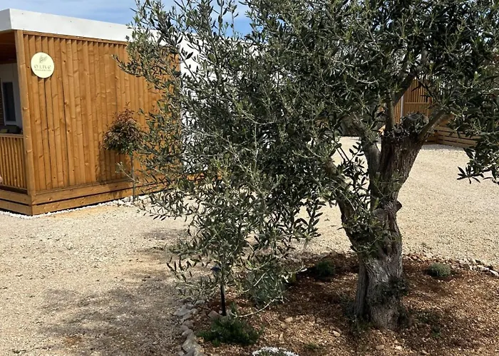 O'live Premium Mobile Drage