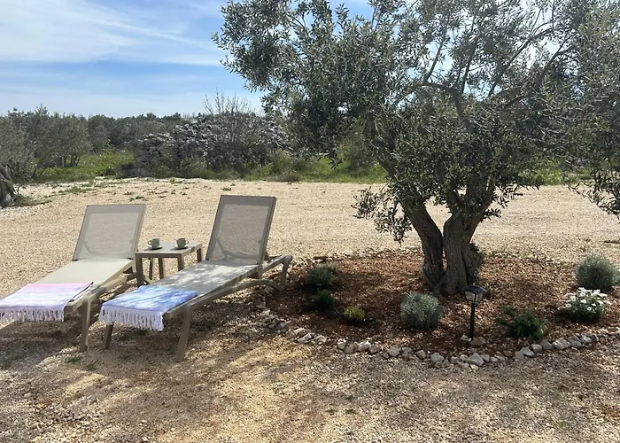 Camping O'live Premium Mobile