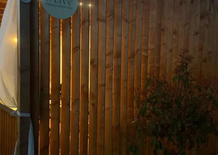 O'live Premium Mobile Camping